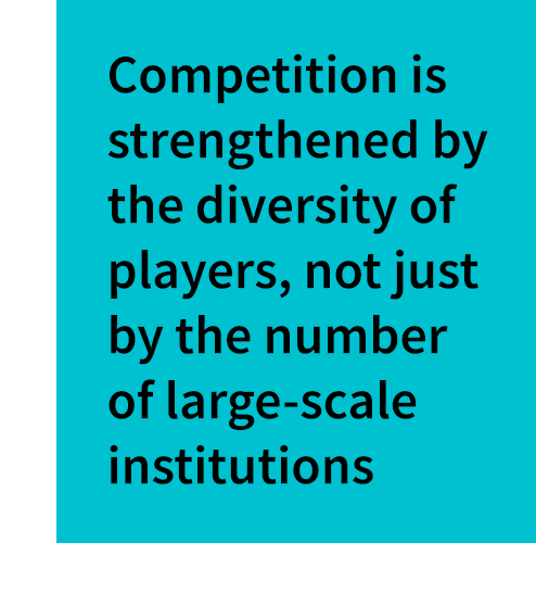 text box with the text Competition is strengthened by the diversity of players, not just by the number of large-scale institutions